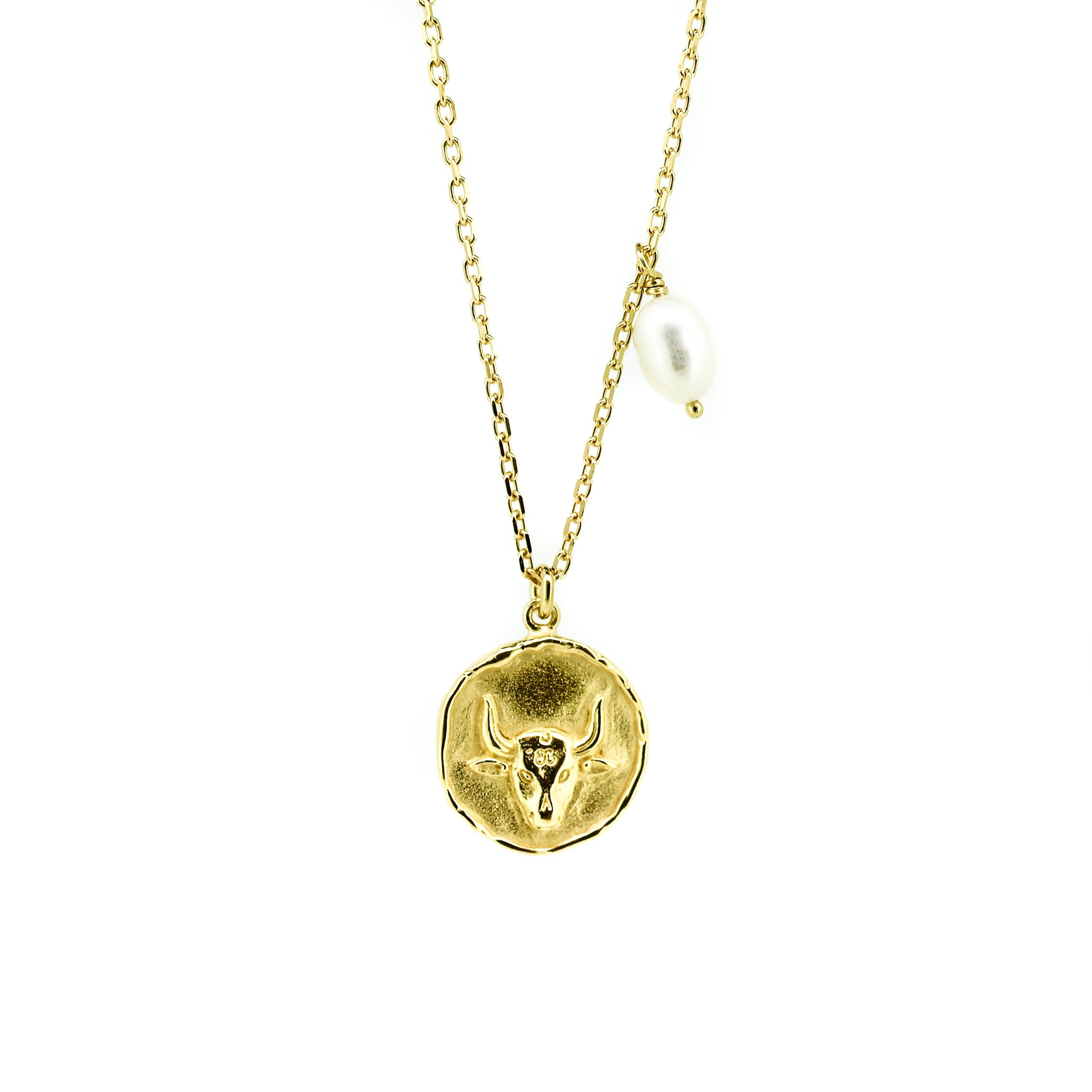 taurus zodiac necklace