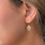 Boab tree of life hook earrings in gold