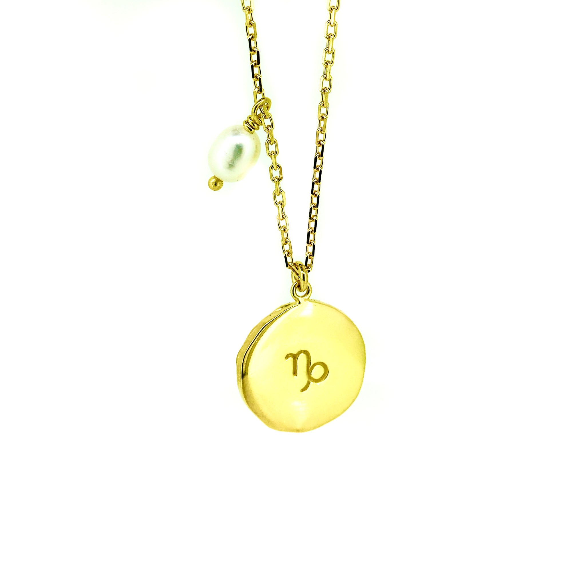 capricorn zodiac necklace gold