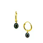 gold sleepers earrings with black pearl