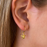 gold turtle hook earrings gold