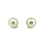 bold white pearl studs set in gold