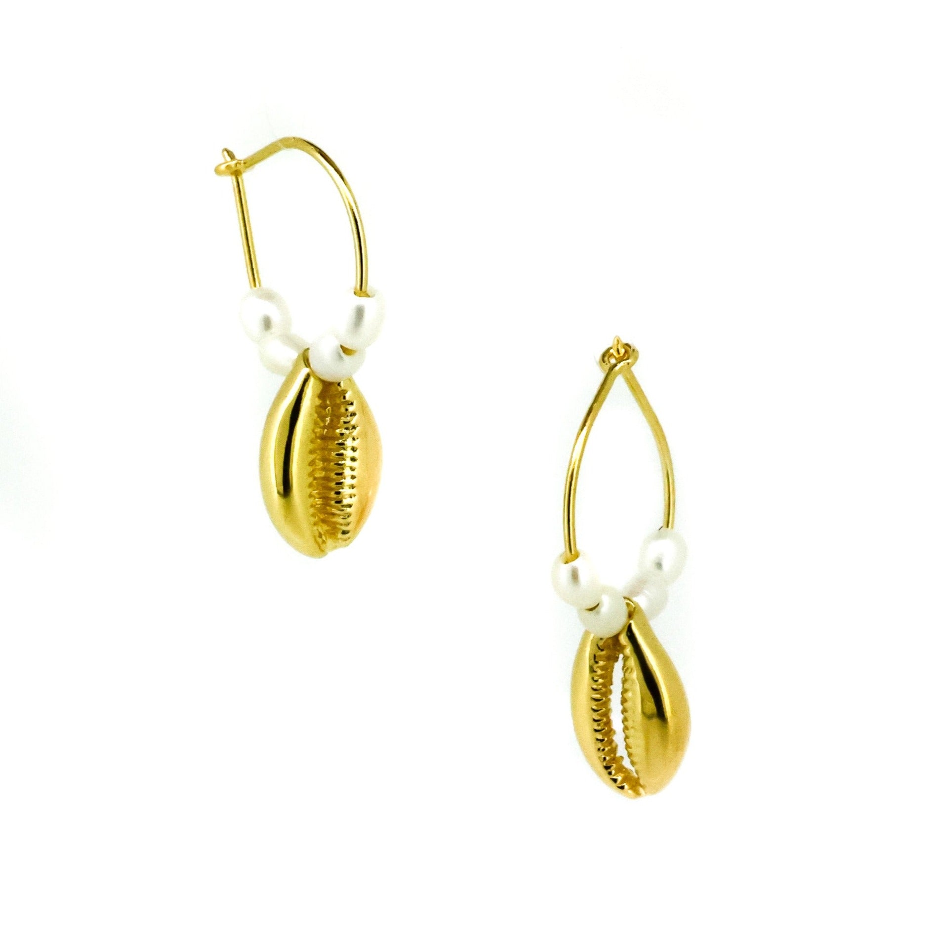 cowrie shell sleeper earrings