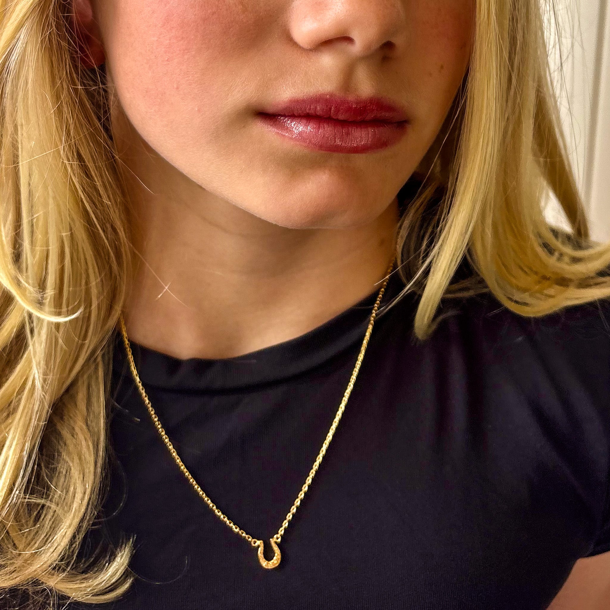 gold lucky charm horseshoe necklace