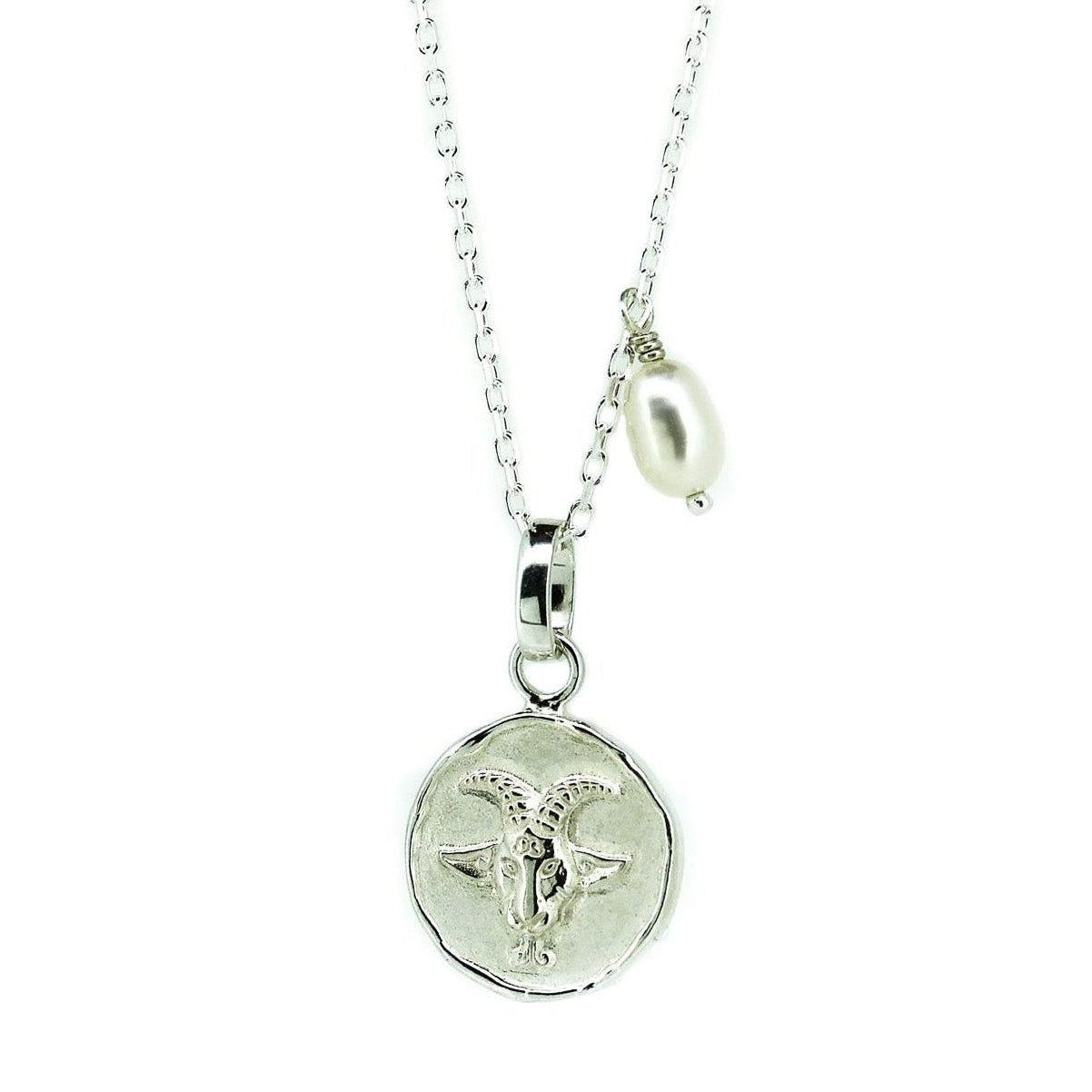 capricorn zodiac necklace in silver
