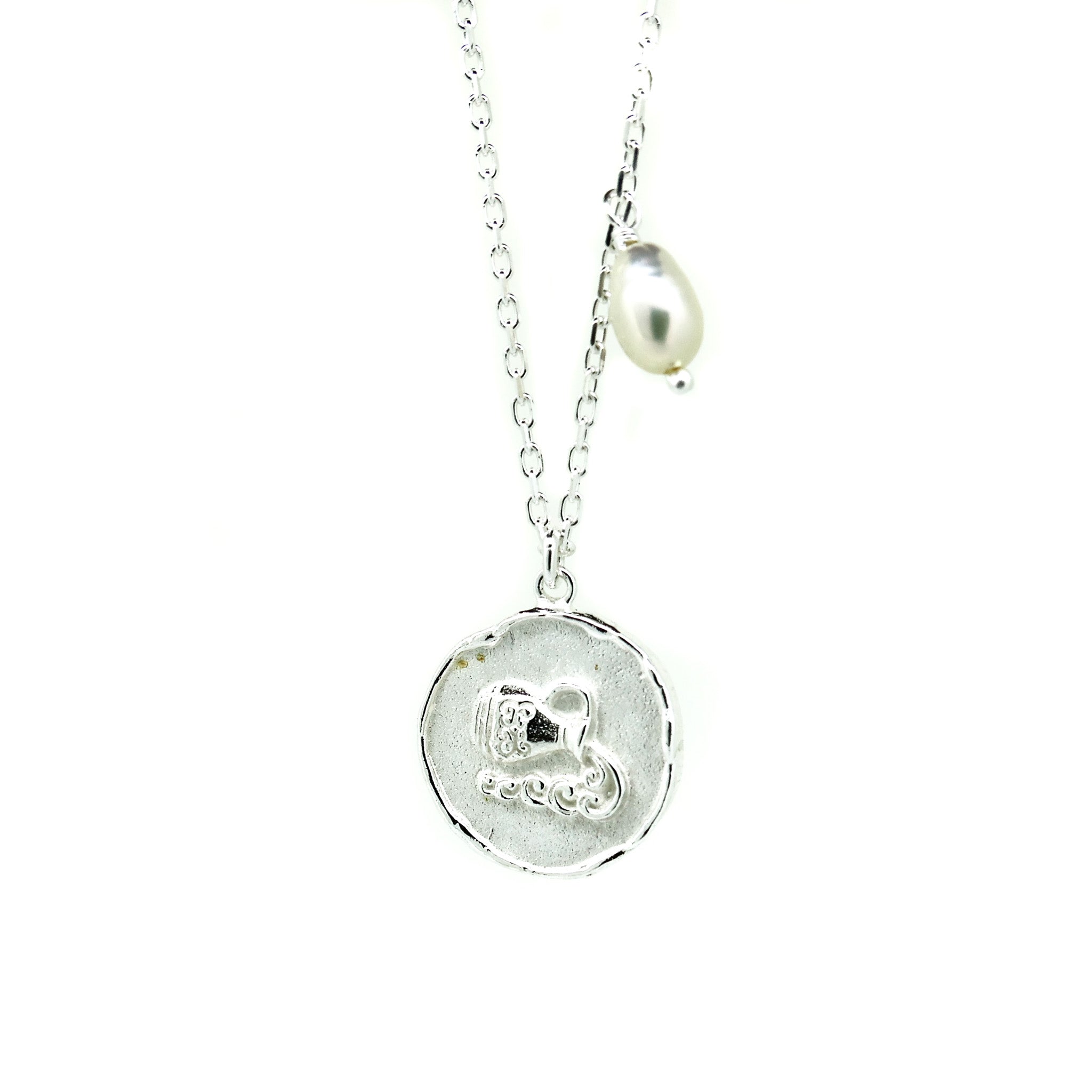 zodiac aquarius necklace silver