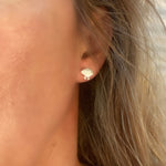 Shell studs
