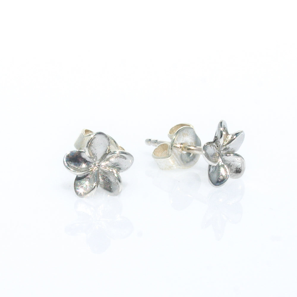 frangipani studs