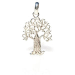 Boab Tree pendant