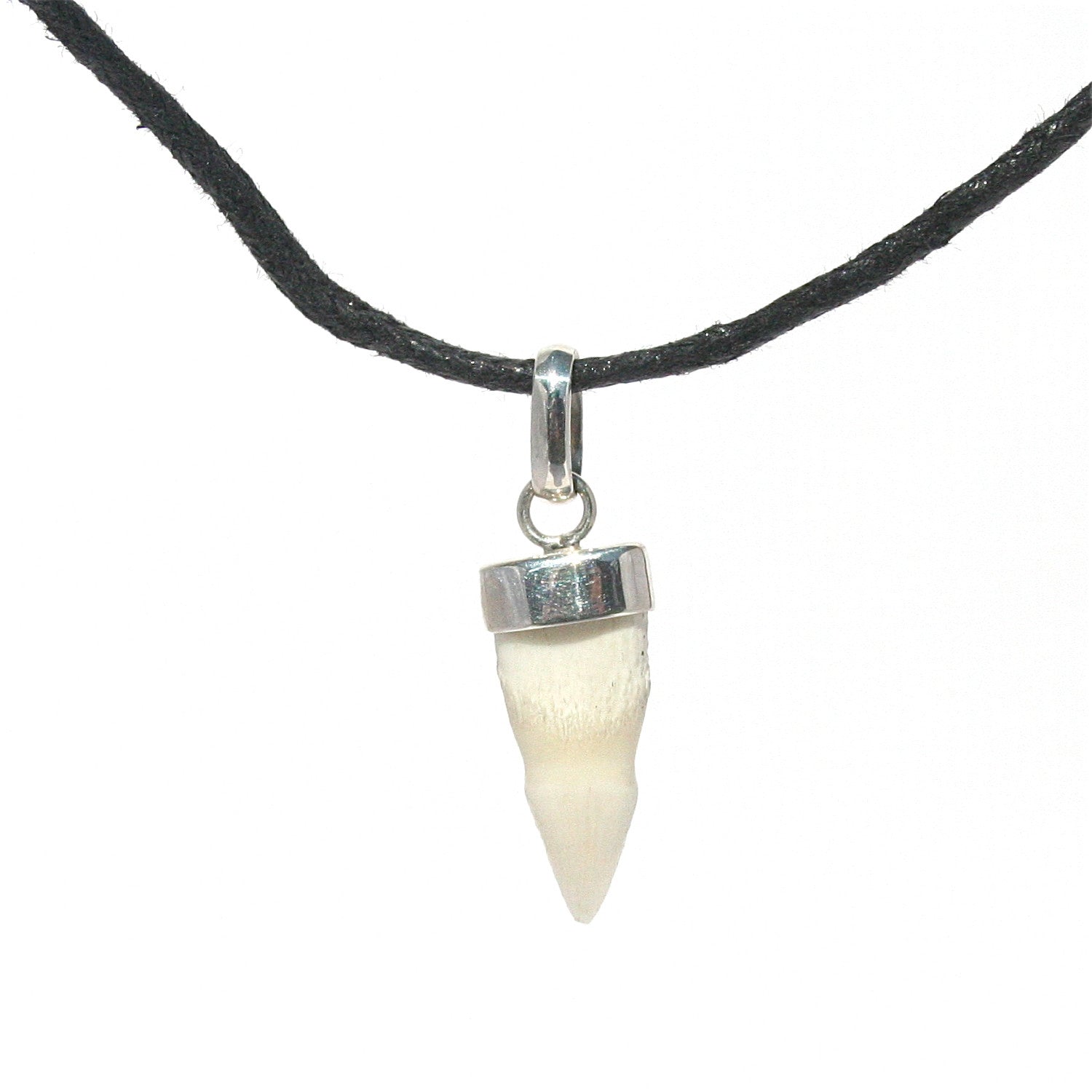 CROCODILE TOOTH PENDANT SET IN STERLING SILVER WITH BLACK COTTON NECKLACE: ADJUSTABLE IN LENGTH