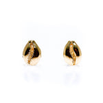 gold cowrie shell studs