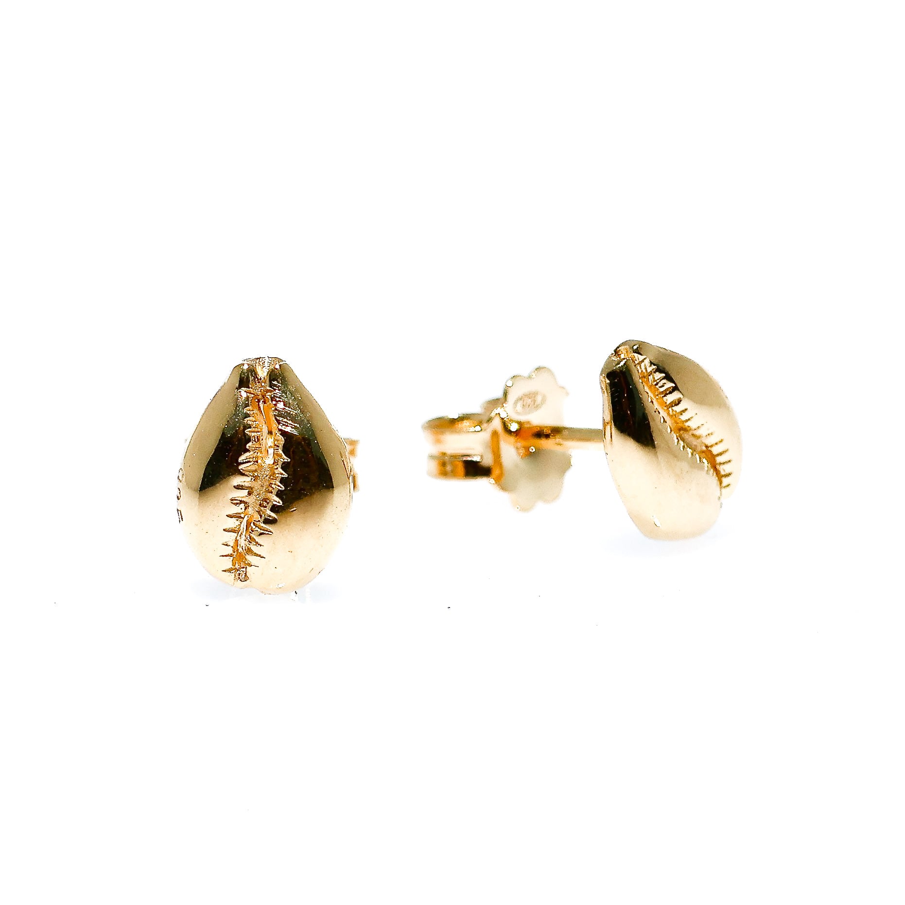gold cowrie shell studs