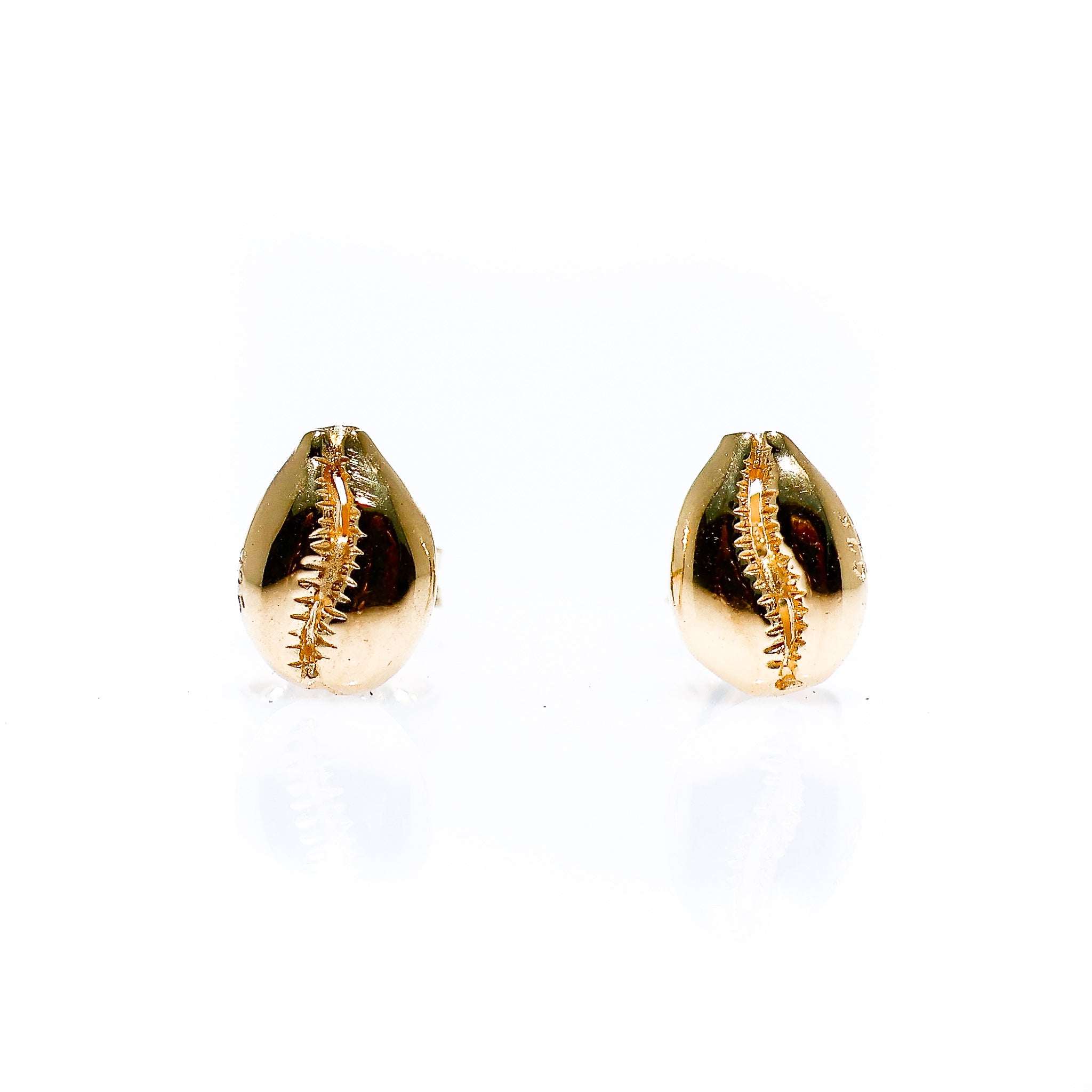 gold cowrie shell studs