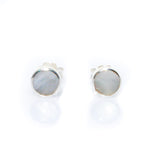 shell pearl studs